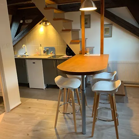 Duplex 2a Rue D'alspach * Colmar