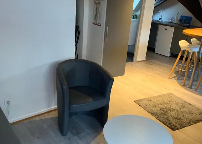 Διαμέρισμα Duplex 2a Rue D'alspach Κολμάρ