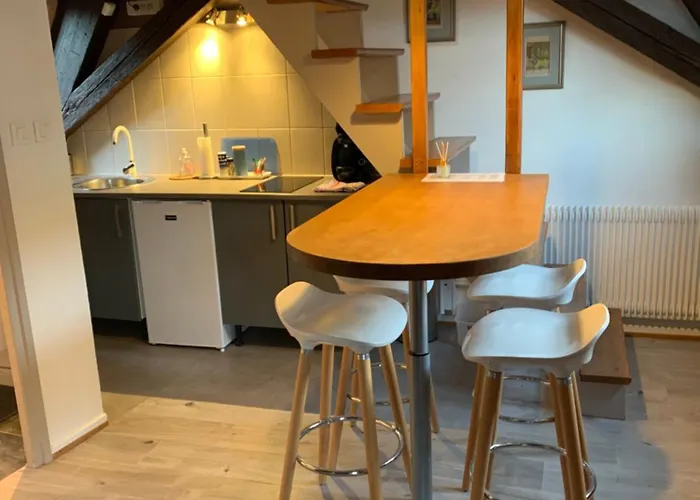 Duplex 2a Rue D'alspach * Κολμάρ